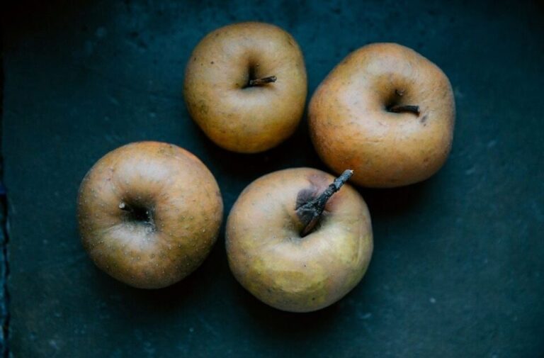 Apfel nach TCM